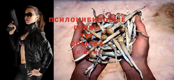 сатива Алексин