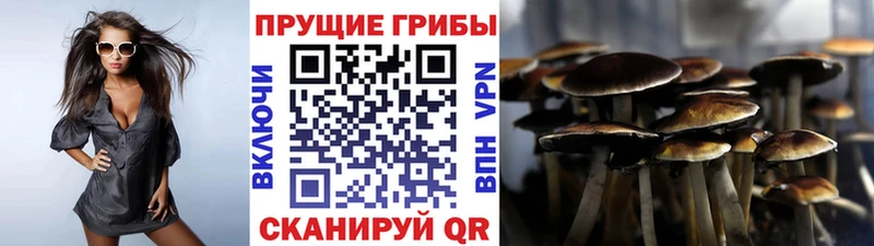 Псилоцибиновые грибы ЛСД  наркошоп  Ардатов 